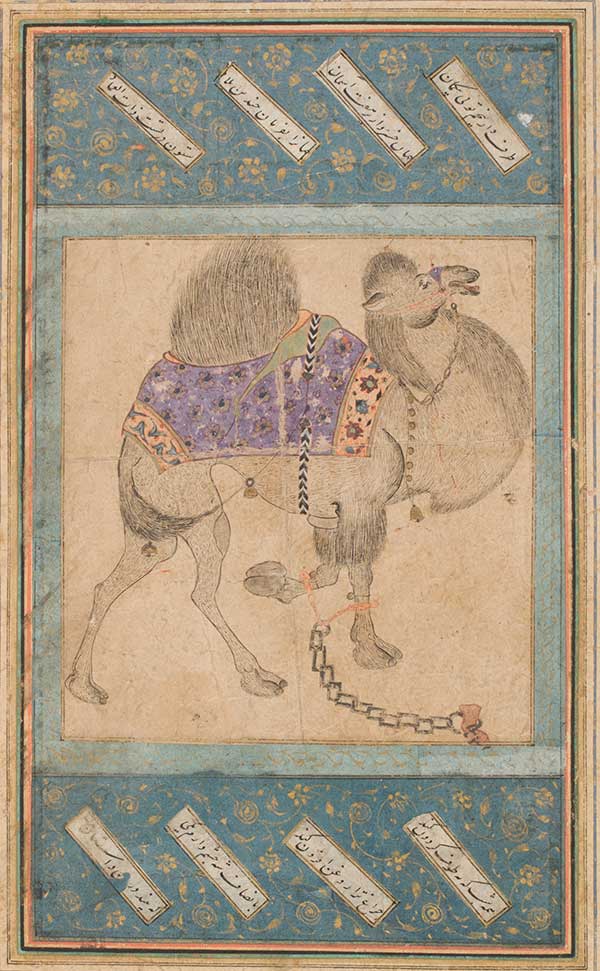 Persian, An Irate Camel, (detail), 17th Century