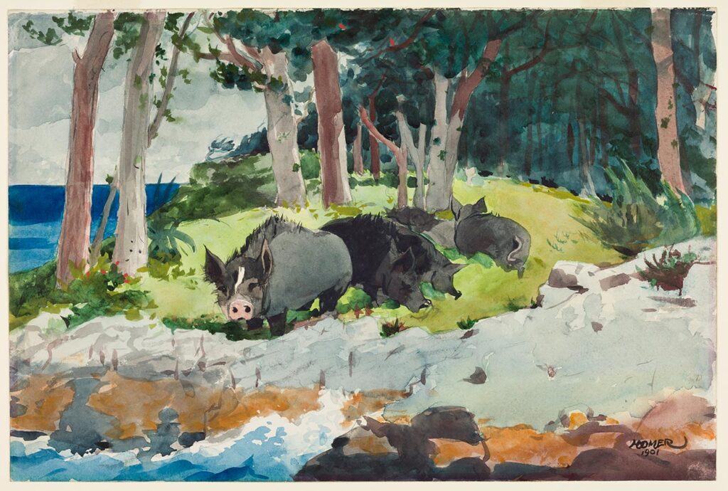 Winslow Homer, 'Bermuda Settlers', 1901, watercolor over graphite on moderately thick, slightly textured off-white wove paper