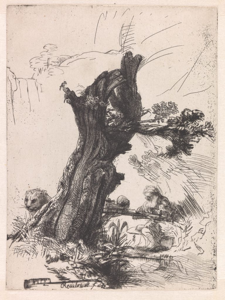 Rembrandt van Rijn, Saint Jerome Beside a Pollard Willow, 1648, etching and drypoint