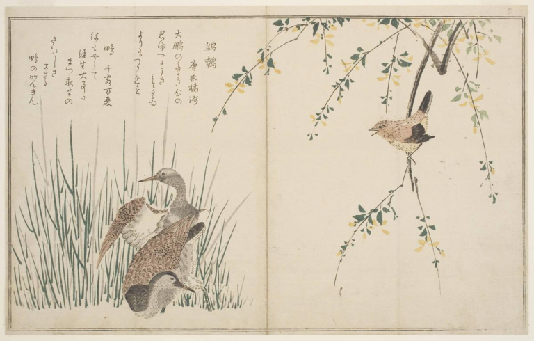 Kitagawa Utamaro (1750s-1806), “Misosazai Ni Shigi” from the series Momo Chidori Kyoka Awase, about 1791, woodblock print: ink and color on paper
