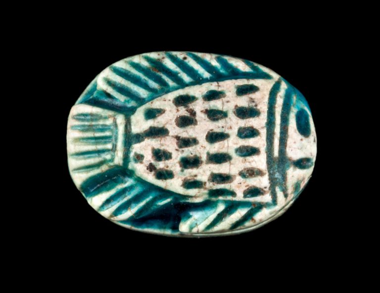 Fish Scaraboid, ancient Egyptian, New Kingdom, about 1539–1077 BCE, blue glazed steatite