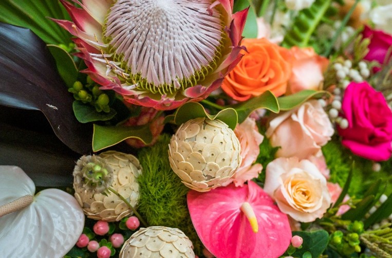 Close-up of various  flower heads