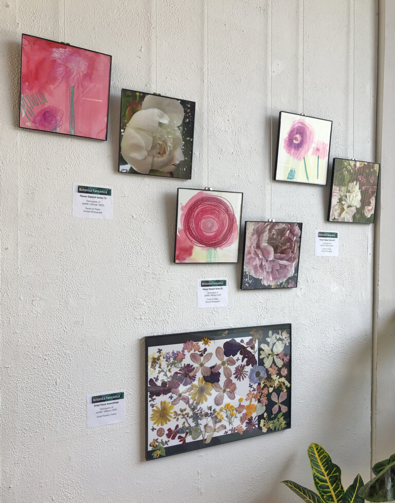 Work by ASPiRE! artists in the 'Botanica Fantastica' exhibition