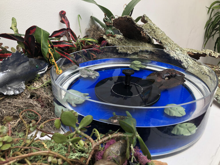 Work by ASPiRE! artists in the 'Botanica Fantastica' exhibition