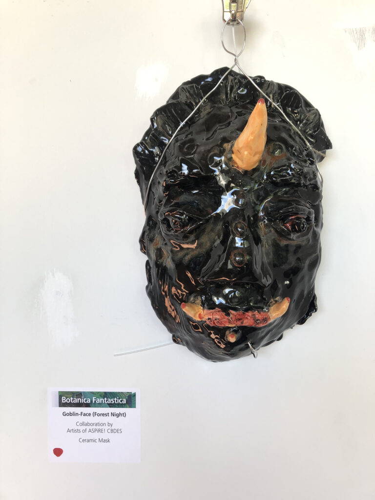 Work by ASPiRE! artists in the 'Botanica Fantastica' exhibition