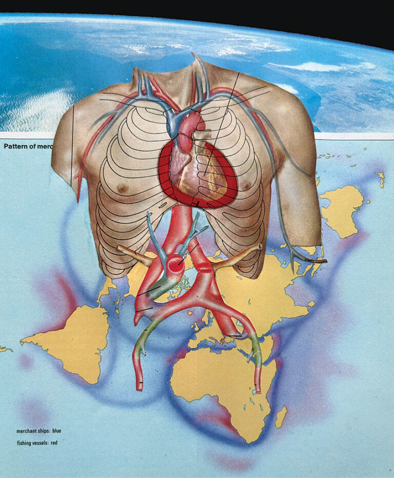 Andrew S. Yang, 'Circulatory System,' 2025, books and found paper
