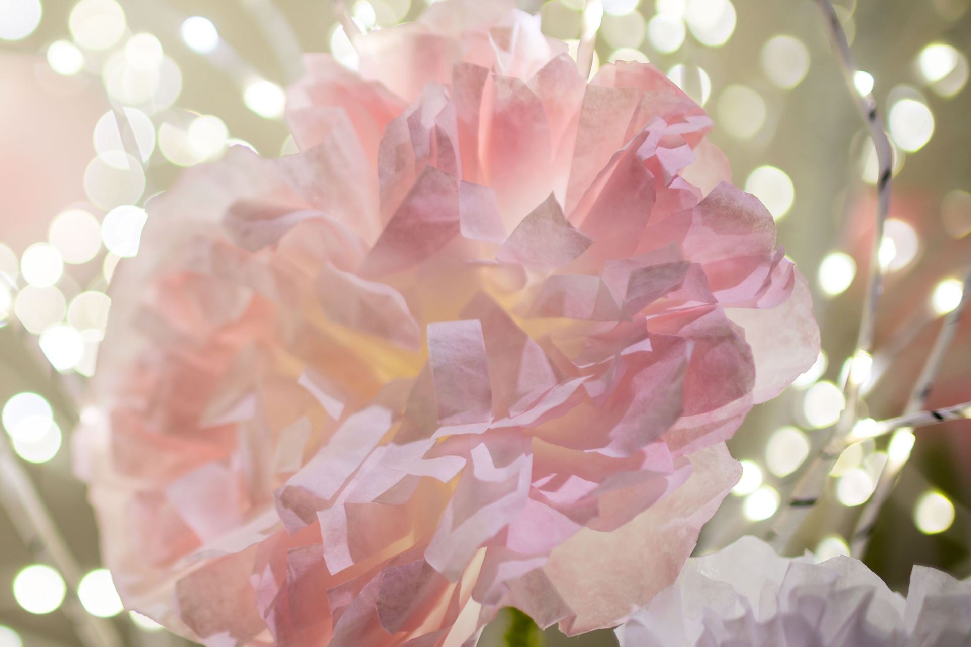 A close-up of a commercial floral arrangement from Flora in Winter 2025