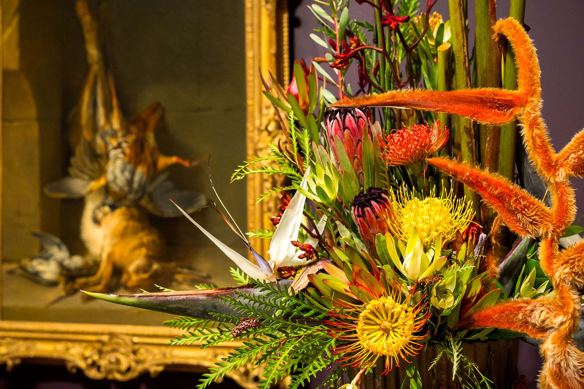 A floral interpretation from Flora in Winter 2025