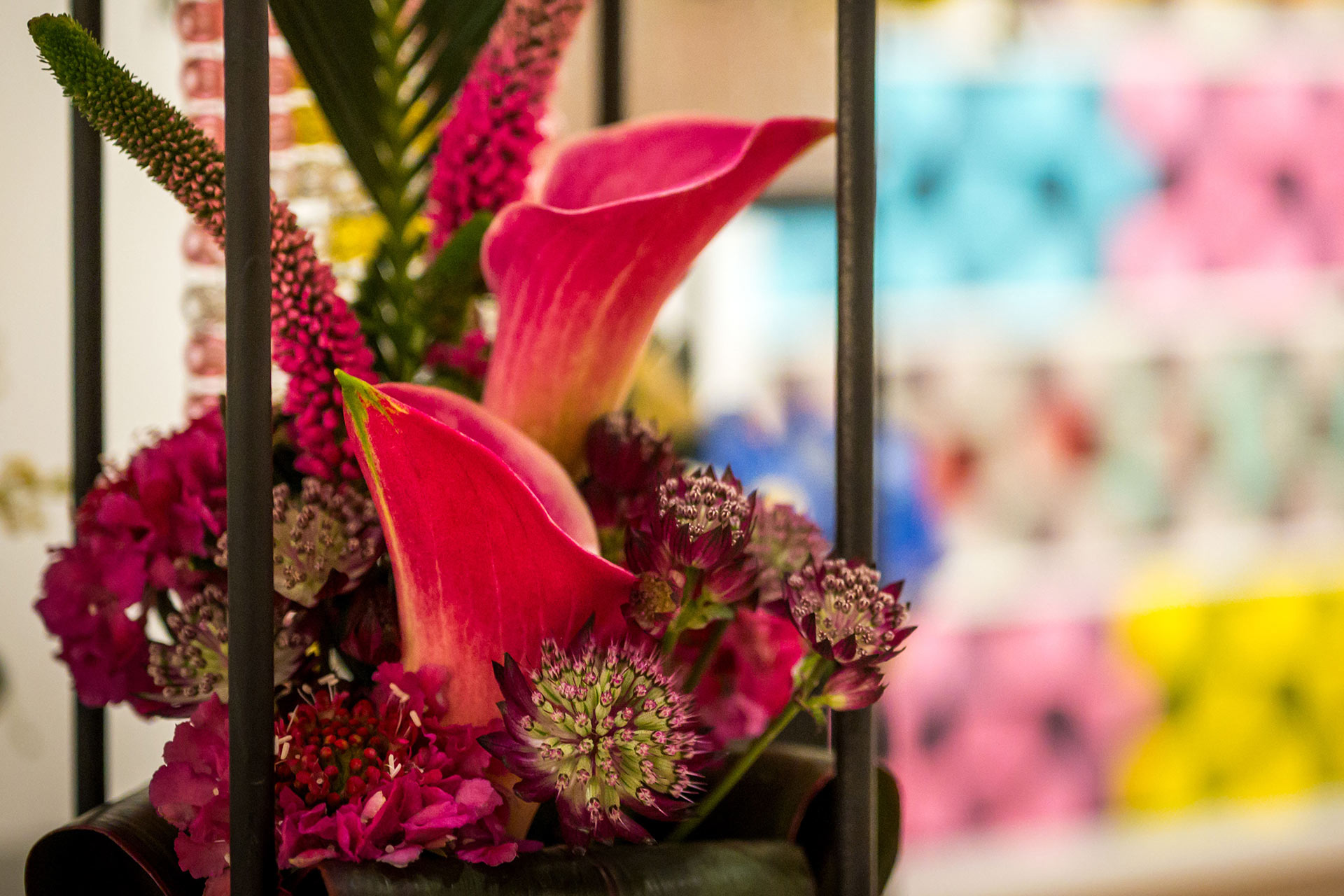 A floral interpretation from Flora in Winter 2025
