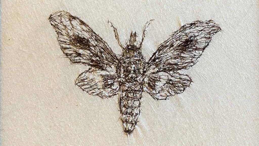Miniature hair drawing of a moth by Leslie Schomp