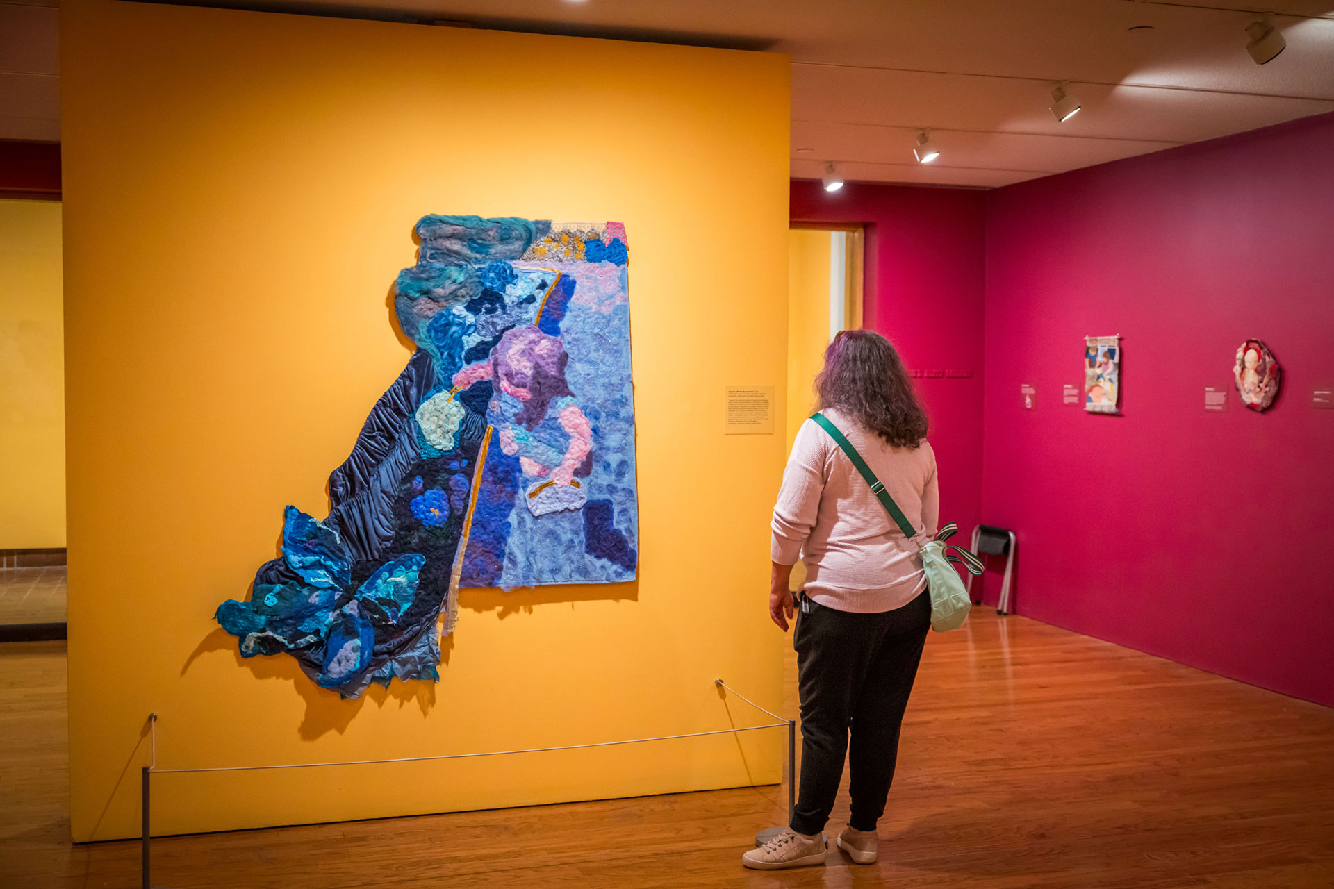 Gallery view of the exhibition 'Kara Patrowicz: The Sally Bishop Prize'