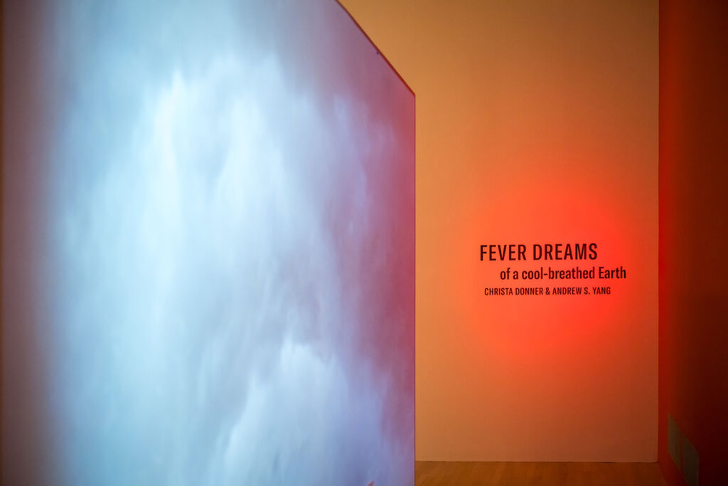 View of the entrance to the exhibition 'Fever Dreams of a Cool-Breathed Earth'